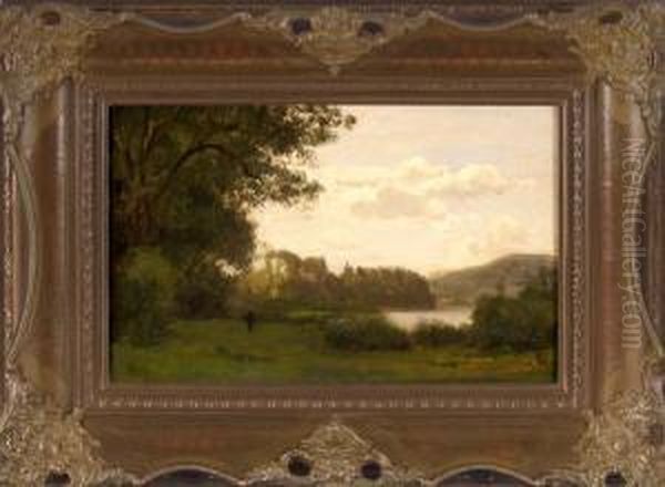 Sommerliche Parklandschaft Mit Person - view 1
