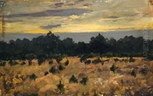 Abendliche Baumlandschaft