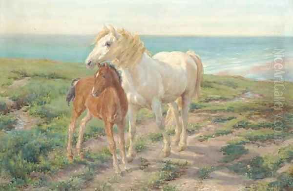 A mare and foal on a clifftop - view 1