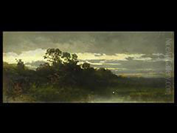 Abendliche Moorlandschaft - view 1