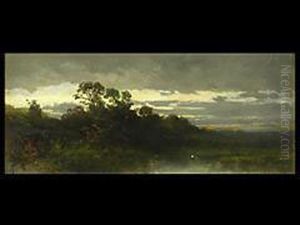 Abendliche Moorlandschaft