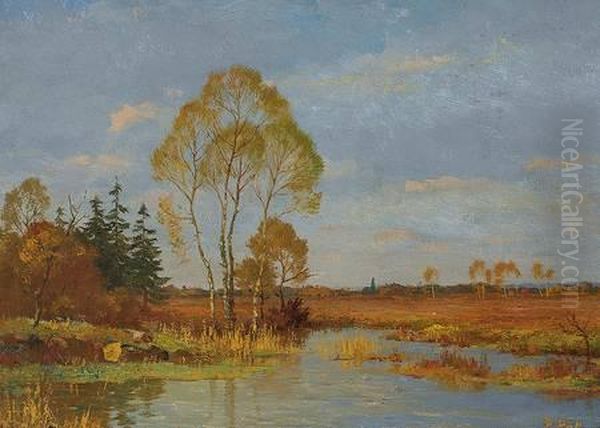 Herbstliche Moorlandschaft - view 1