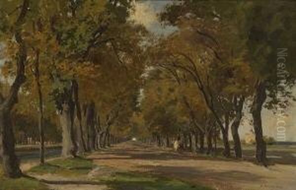 Herbstliche Allee. - view 1