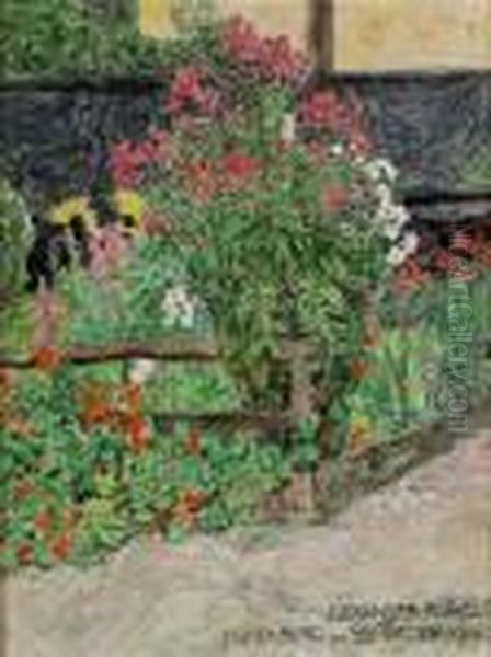 Garden - view 1