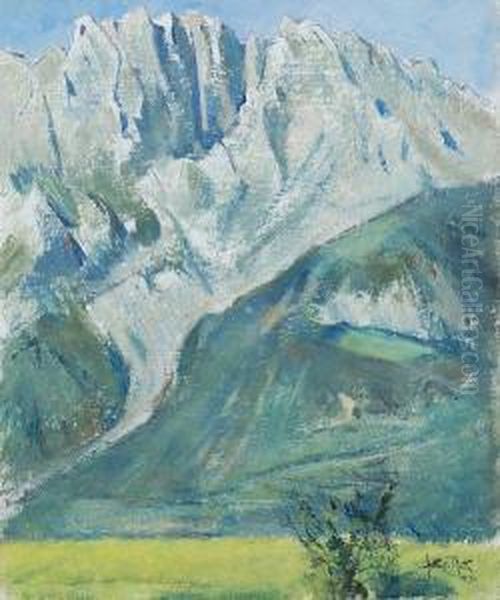 Paesaggio Di Montagna - view 1