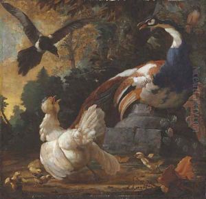 A peacock by Abraham Bisschop Dordrecht