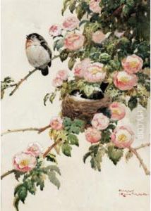 Finches by Harry Rountree