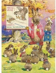 The Safety First School by Harry Rountree