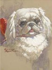 The Head Of A Pekingese by Harry Rountree