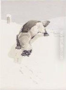A Polecat by Harry Rountree