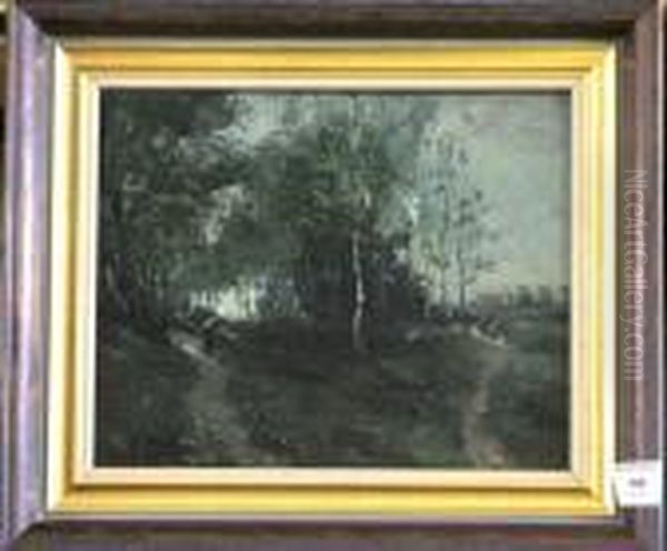 Forest Scene - view 1