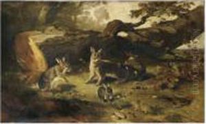 Famille De Lapins Dans Un Sous Bois