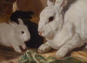 Hase Mit Jungen by Philippe Rousseau