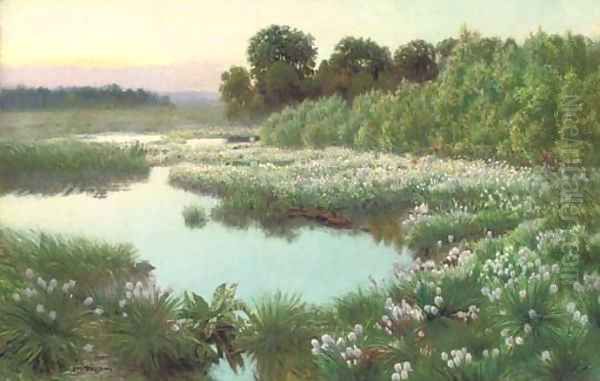 A woodland pool at dusk - view 1