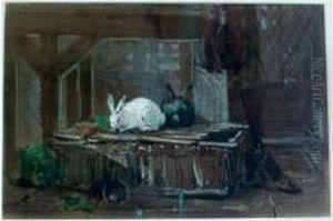 Lapins Dans Un Interieur
