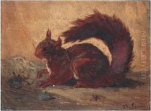 Ecureuil by Philippe Rousseau