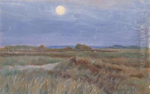 Clair De Lune Sur La Lande
