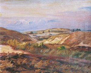 Dune Et Lande En Bord De Mer