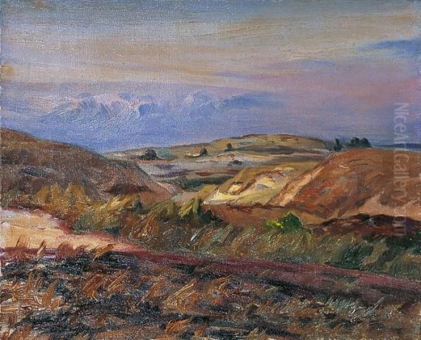 Dunes Et Lande En Bord De Mer - view 1