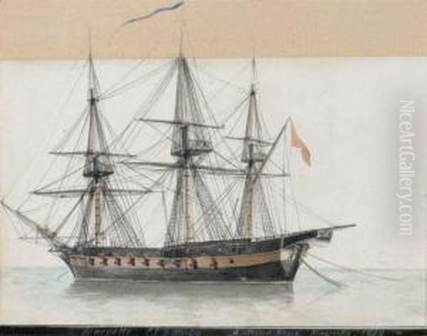 Corvette El Gambo - view 1
