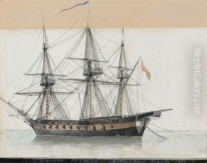 Corvette El Gambo