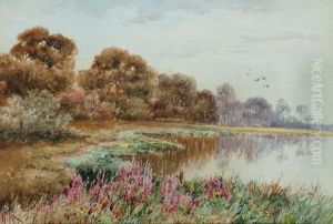 Colombo Creek