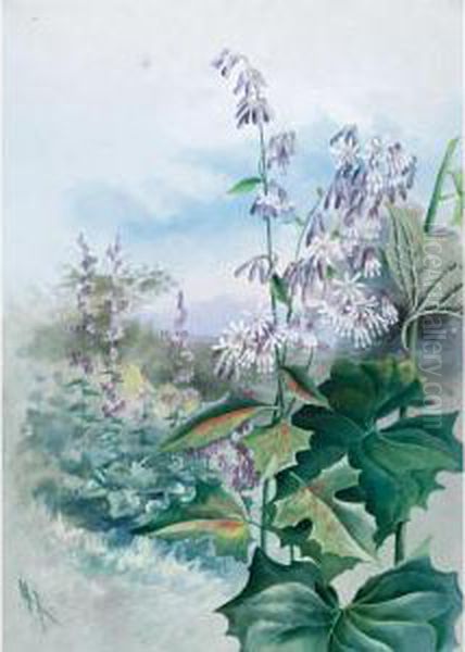 Prenauther Alba - view 1