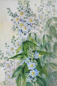 Lagerstroemia by Marian Ellis Rowan