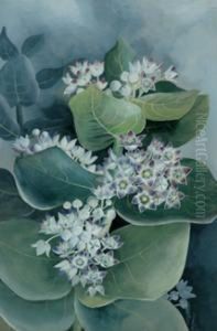 Flower Study by Marian Ellis Rowan