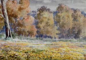 Autumn Scene