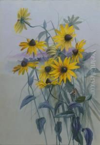 Rudbeckia by Marian Ellis Rowan