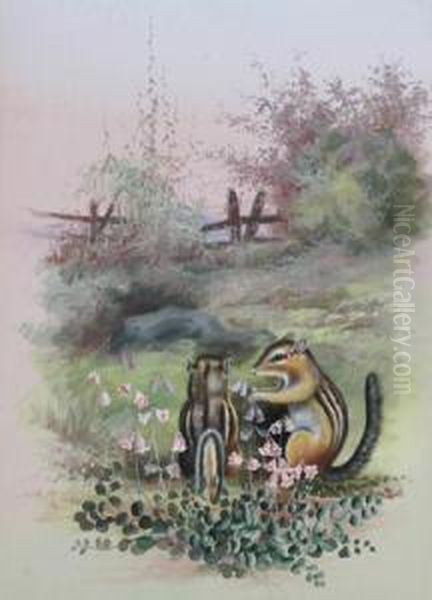 Squirrels And Wildflowers In A Field - view 1