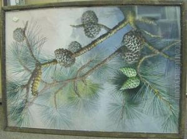 Pine Branches With Catapillar - view 1