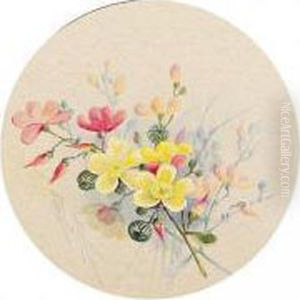 A Folio Of Watercolours Of Australian Flowers