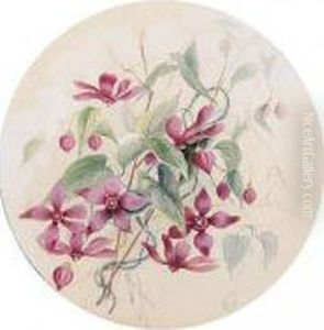 A Folio Of Watercolours Of Australian Flowers