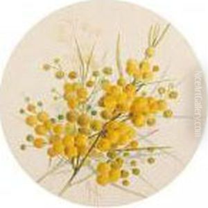 A Folio Of Watercolours Of Australian Flowers