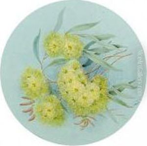 A Folio Of Watercolours Of Australian Flowers