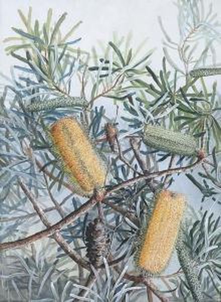 Banksias - view 1