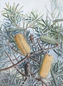 Banksias by Marian Ellis Rowan