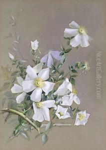 Roses by Marian Ellis Rowan