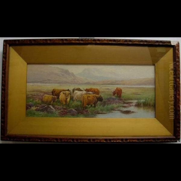 Highland Cattle - view 1