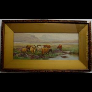 Highland Cattle by Thomas, Tom Rowden