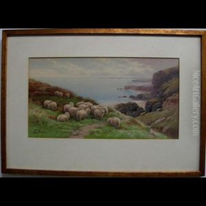 Coastal View With Sheep by Thomas, Tom Rowden