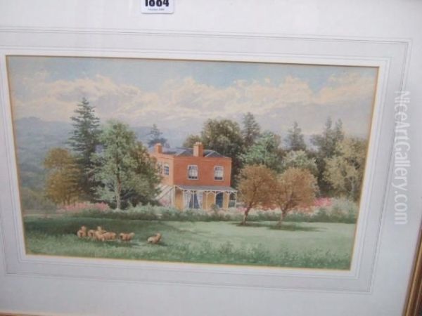 Sheep Before A Country House - view 1