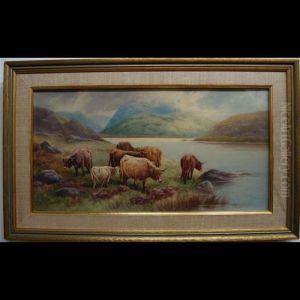Highland Cattle by Thomas, Tom Rowden