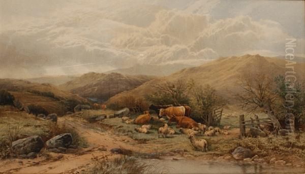 Cattle And Sheep Grazing By A Path In An Extensive Landscape - view 1