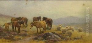 Ponies And Sheep On Dartmoor by Thomas, Tom Rowden