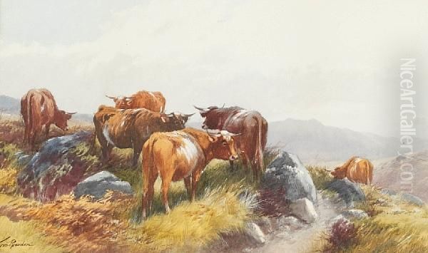 Cattle - view 1