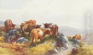 Cattle by Thomas, Tom Rowden