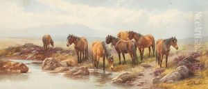 At Two Bridges, Dartmoor by Thomas, Tom Rowden